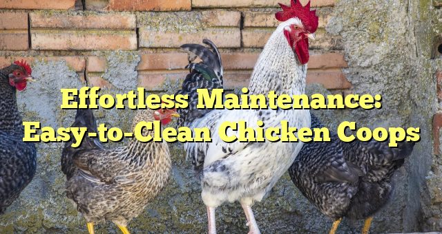 Effortless Maintenance: Easy-to-Clean Chicken Coops 